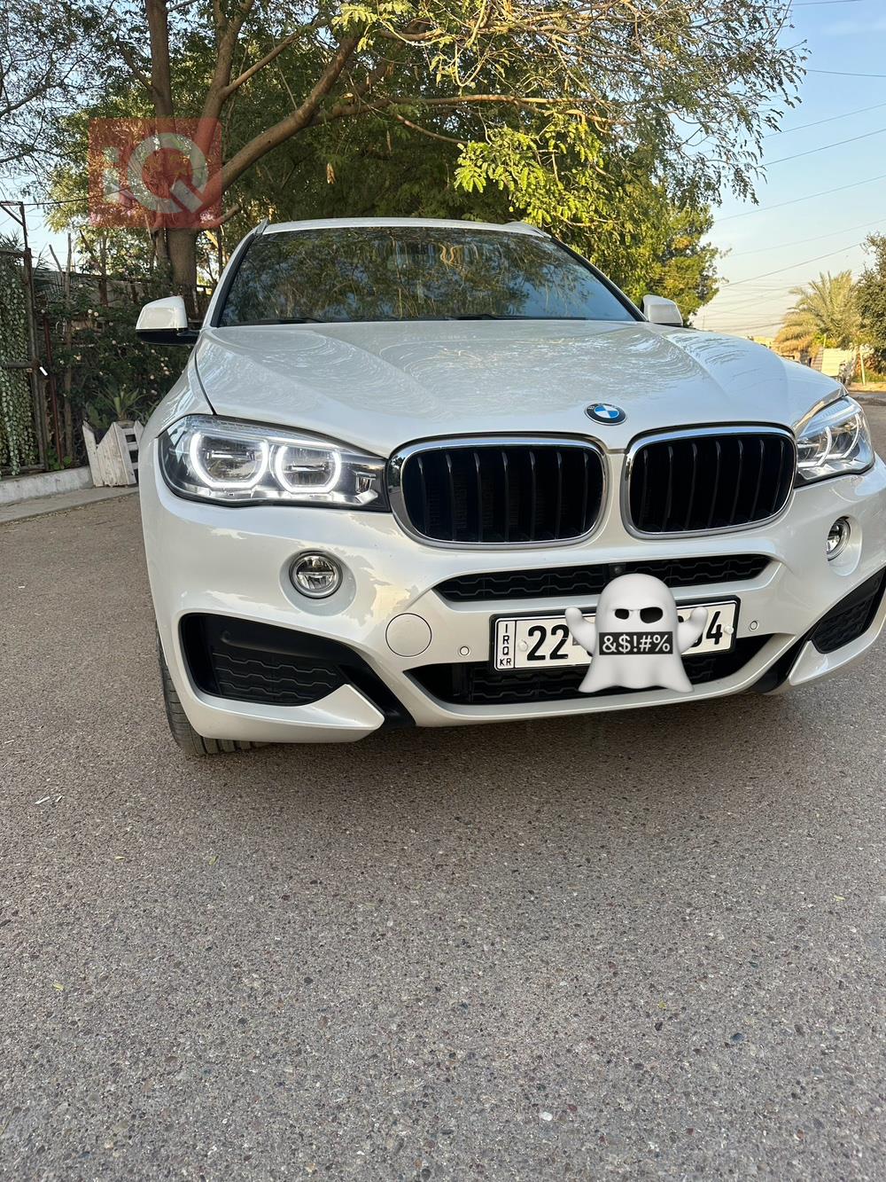 BMW X6
